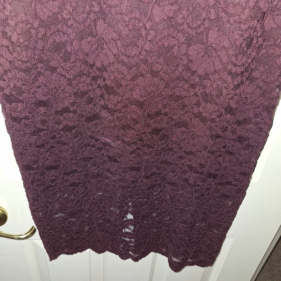 Express Lace Dress - Picture 11 of 12